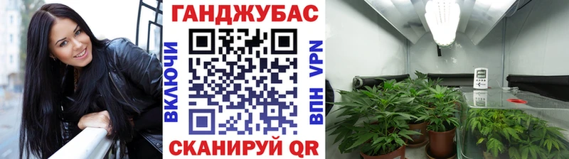 Наркотические вещества Зуевка Канабис  mega ТОР  ГАШИШ  МЕФ  COCAIN 