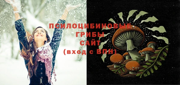 первитин Арсеньев