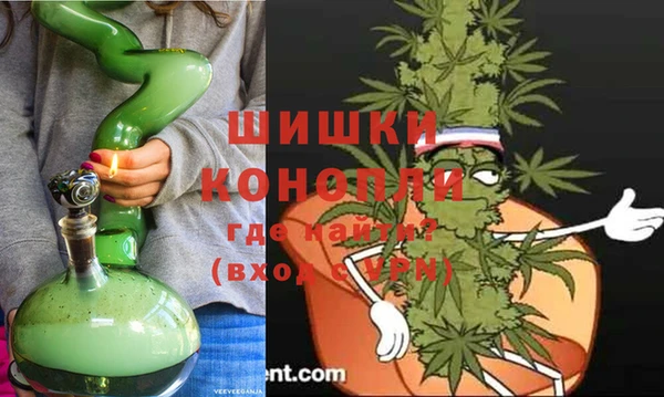 прущие грибы Покровск