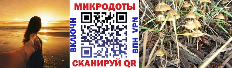 OMG как войти  Зуевка  Галлюциногенные грибы мухоморы 